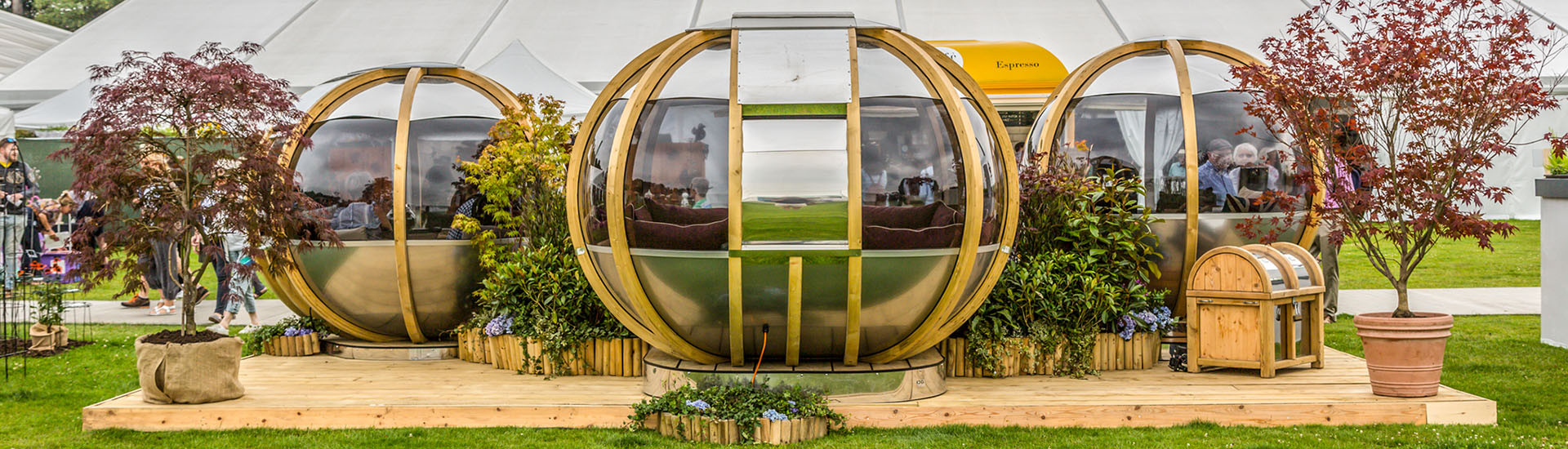 RHS Flower Show Tatton Park